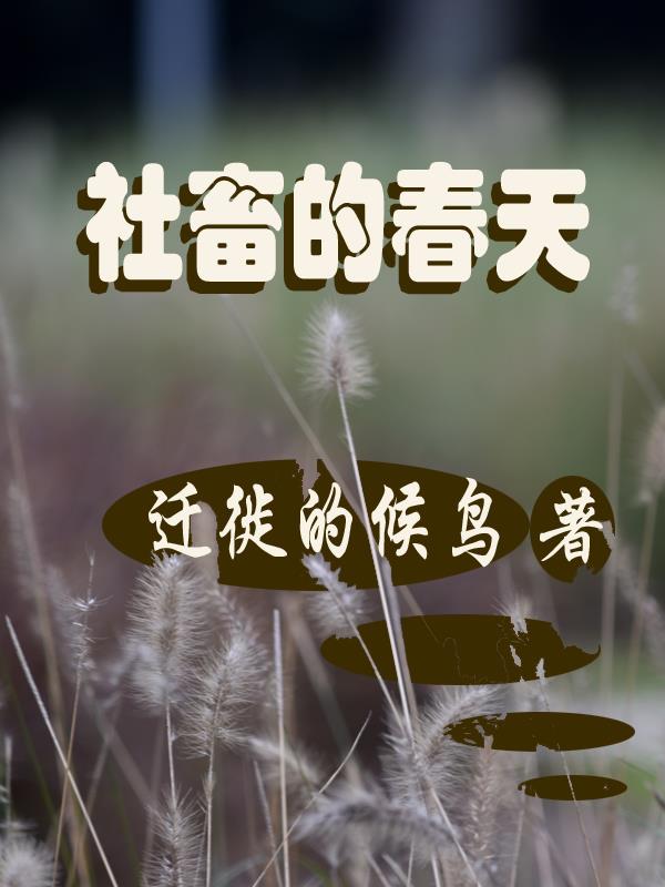 社畜的福报游戏攻略